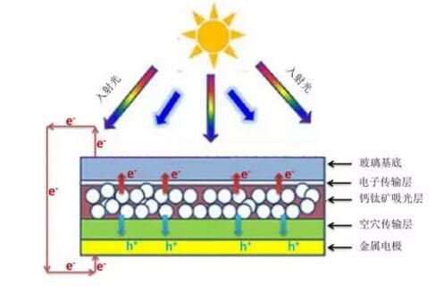 editor1533111302213695.jpg 1.jpg