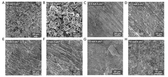 editor1533802649395334.jpg 060606.jpg