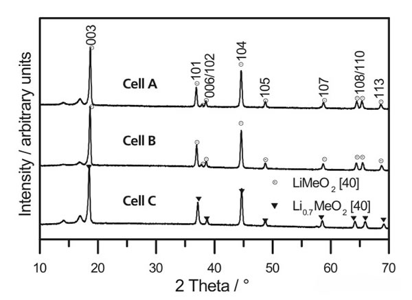 editor1551622997826400.jpg 013.jpg