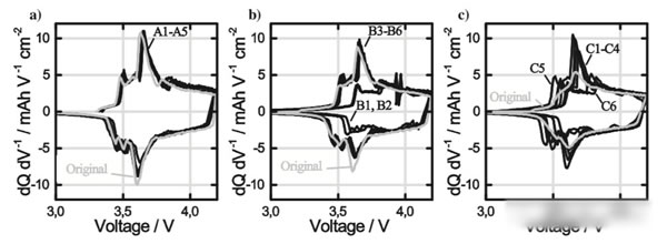 editor1551623092554476.jpg 019.jpg