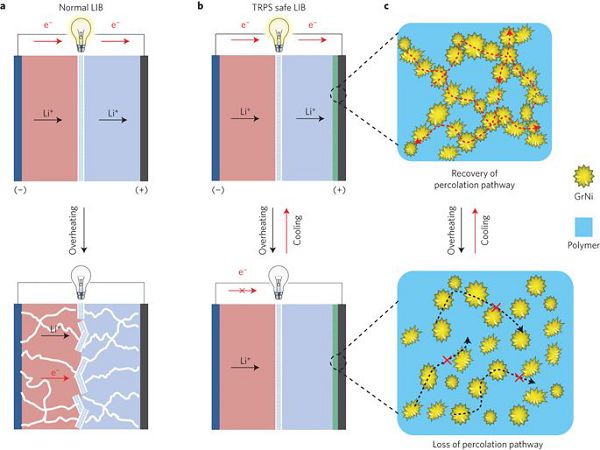 editor1553497503712862.jpg 32.jpg