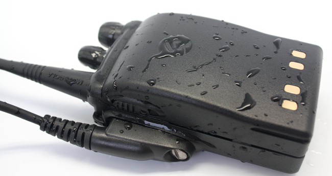 editor1692674828345600.jpg 13.jpg