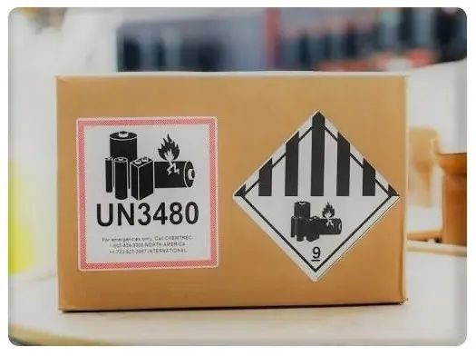 editor1731047951320802.jpg P640-(3).jpg